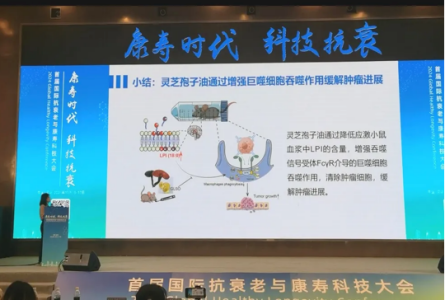同样是灵芝孢子油，服用效果天差地别？经过循证科学实证才是硬标准
